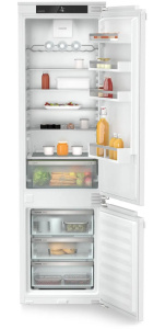 ICNd 5603-20 0011.jpg