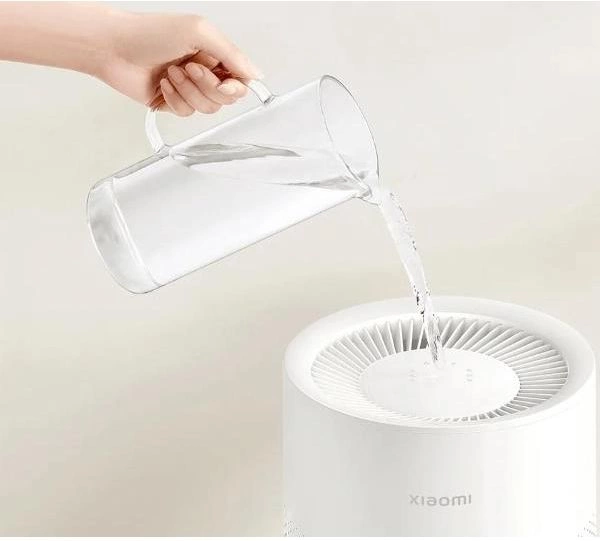 2065745_v03_b 06_11_2024 12_26_52.jpg