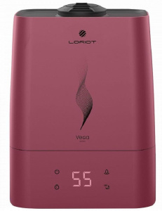 1993548_v01_b 06_11_2024 12_17_12.jpg