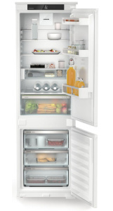 ICNSd 5123-22 001.jpg