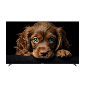 TDTV65CQ09U_BK1.png