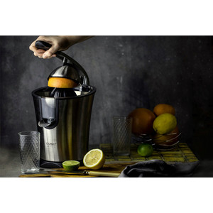 p1000486-4mw 11_04_2023 2_16_12.jpg