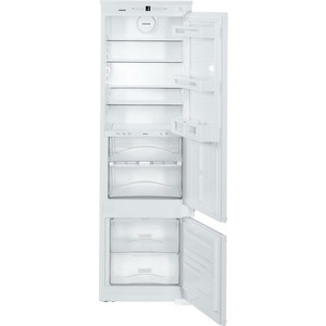 p1014250-1mw 10_04_2023 22_39_47.jpg