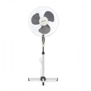 1386810_v01_b 31_03_2023 11_39_58.jpg