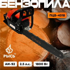 ПЦБ 45181.jpg