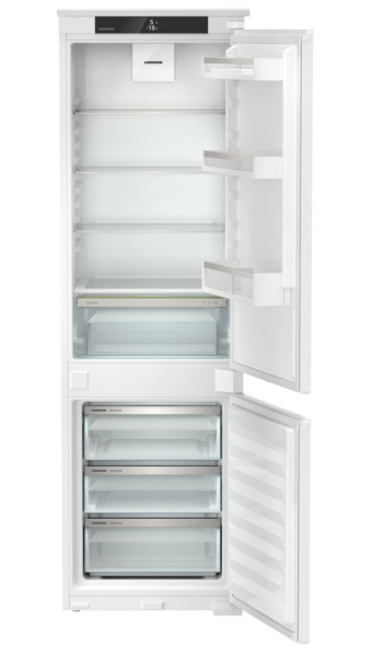 ICSe 5103-22 0013.jpg