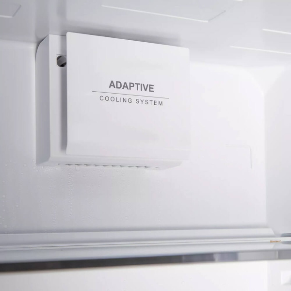 5_766737 31_07_2025 15_36_59.jpg