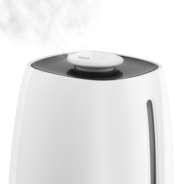 2035240_v03_b 06_11_2024 12_25_33.jpg