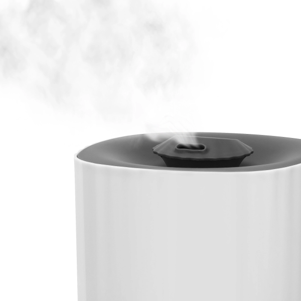 2035257_v02_b 06_11_2024 12_26_12.jpg