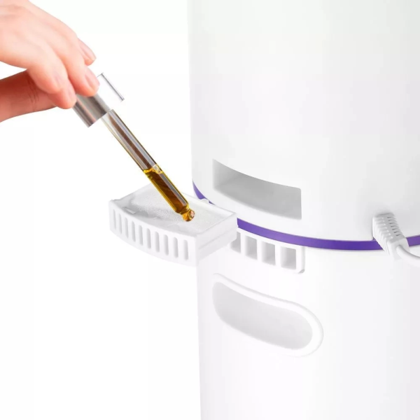 2052969_v05_b 06_11_2024 12_16_37.jpg