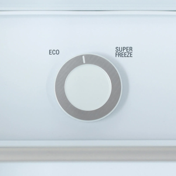 4_783393 31_07_2025 13_54_47.jpg