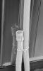 1926824_d07_b 04_02_2024 21_11_42.jpg