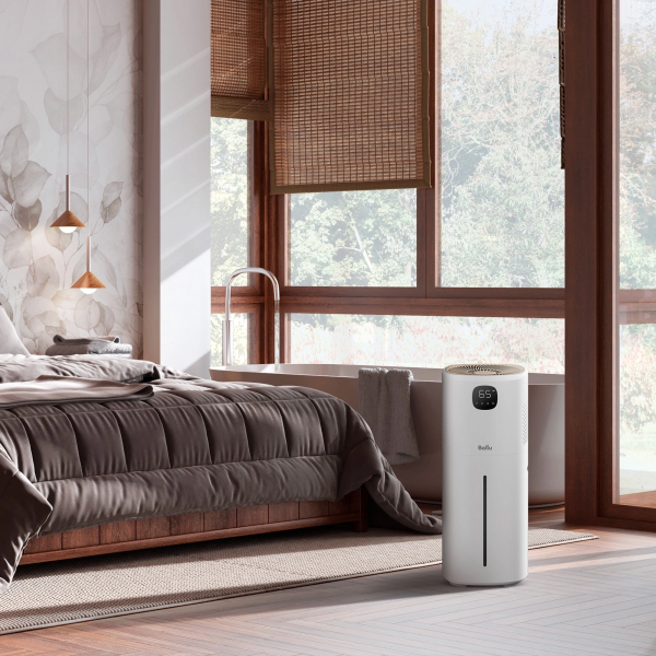 2050656_v04_b 06_11_2024 12_14_54.jpg