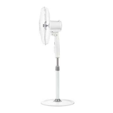 p1184695-2mw 10_04_2023 19_02_44.jpg