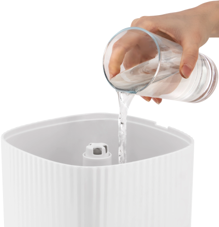 2035251_v04_b 06_11_2024 12_25_58.jpg