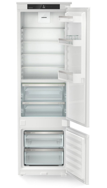 ICBSd 5122-22 0013.jpg