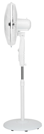 1625566_v06_b 31_03_2023 11_40_35.jpg