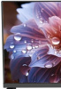 aHR0cHM6Ly9pbWFnZXMubWVybGlvbi5ydS8yMTUvMjE1NDM2Mi8yMTU0MzYyX3YwNl9iLndlYnA 16_06_2026 13_33_10.jpg