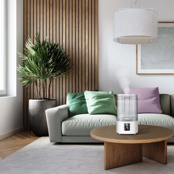 2050655_v05_b 06_11_2024 12_14_51.jpg