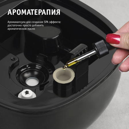 1548215_d09_b 06_11_2024 12_21_32.jpg