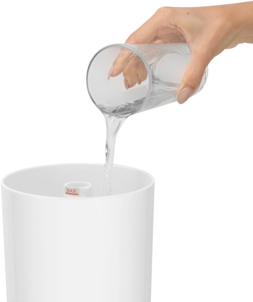 2034878_v05_b 06_11_2024 12_25_23.jpg