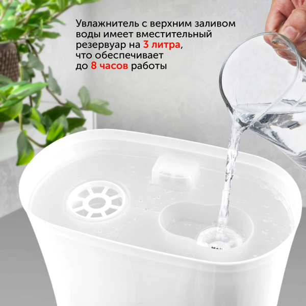 1081434_v05_b 06_11_2024 12_24_19.jpg