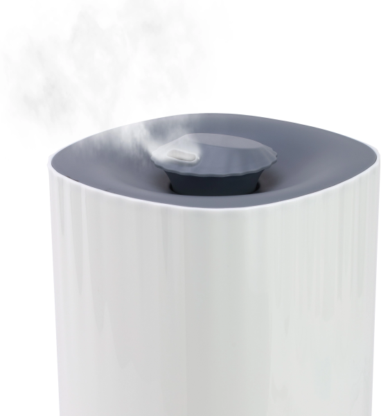 2035262_v03_b 06_11_2024 12_26_27.jpg