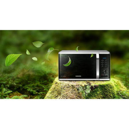 1_173603 26_08_2025 13_29_22.jpg