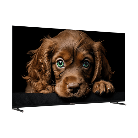 TDTV65CQ08U_BK2.png