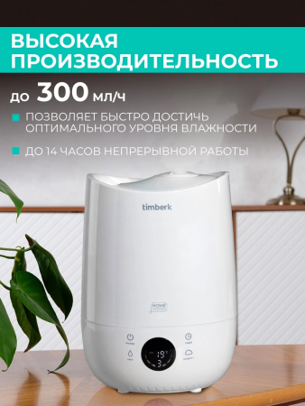 2055210_v04_b 06_11_2024 12_25_07.jpg