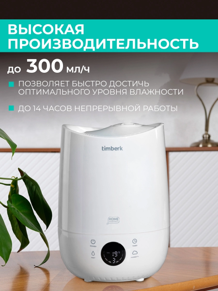 2055210_v04_b 06_11_2024 12_25_07.jpg