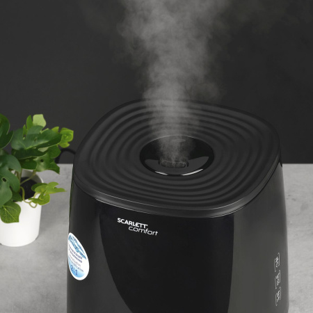 1548215_d10_b 06_11_2024 12_21_33.jpg