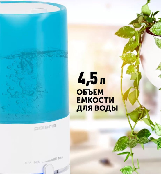 1981023_v04_b 06_11_2024 12_18_33.jpg