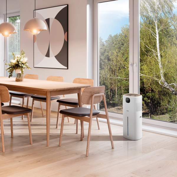 2050656_v05_b 06_11_2024 12_14_54.jpg