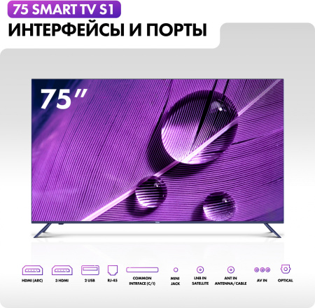 1907746_v11_b 26_03_2024 18_39_38.jpg