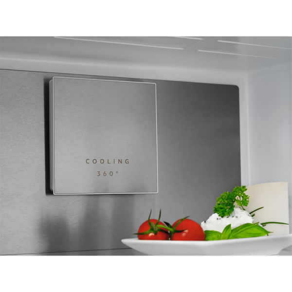 4_783205 31_07_2025 13_54_37.jpg