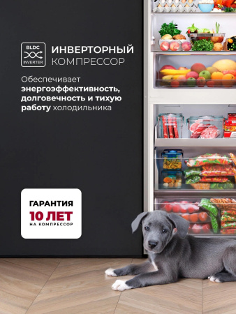 aHR0cHM6Ly9pbWFnZXMubWVybGlvbi5ydS8yMDMvMjAzMTk1OS8yMDMxOTU5X3YwOV9iLndlYnA 02_06_2026 11_44_54.jpg