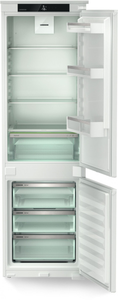 1510197_v02_b 04_02_2024 19_56_36.jpg