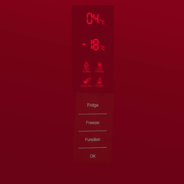 4_770293 31_07_2025 13_59_58.jpg