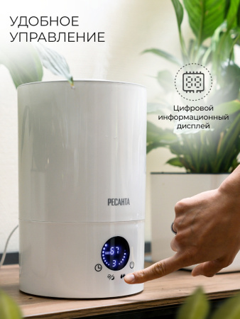 1625758_v10_b 06_11_2024 12_26_59.jpg