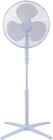 1685229_v01_b 10_04_2023 19_02_52.jpg