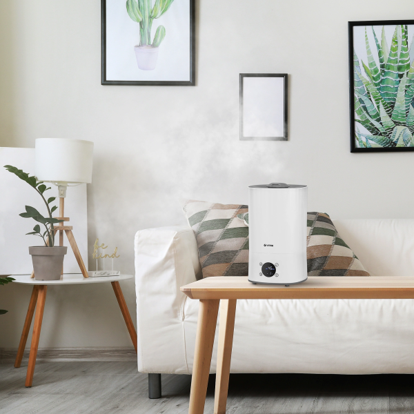 2035257_v03_b 06_11_2024 12_26_13.jpg