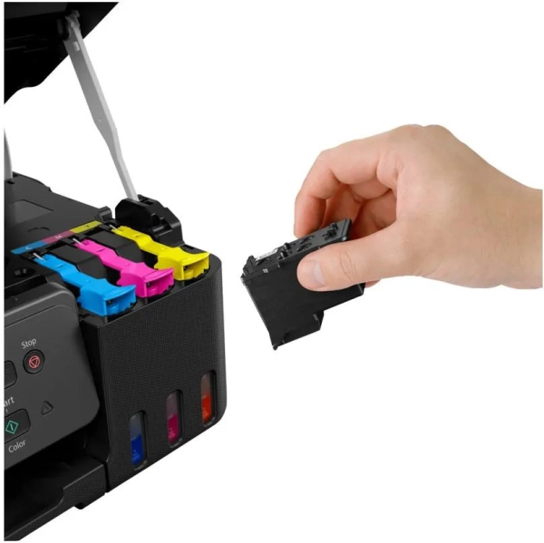 2029290_d01_b 13_01_2025 13_17_05.jpg