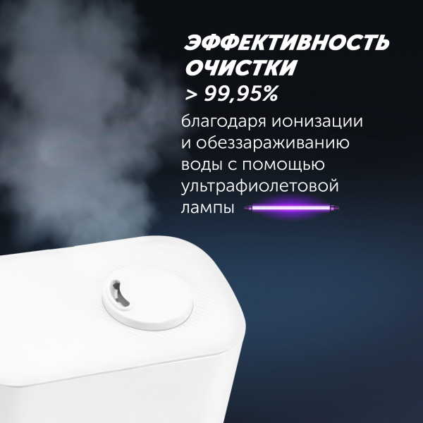 2053589_v05_b 06_11_2024 12_18_09.jpg