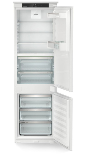 ICBNSd 5123-22 0013.jpg