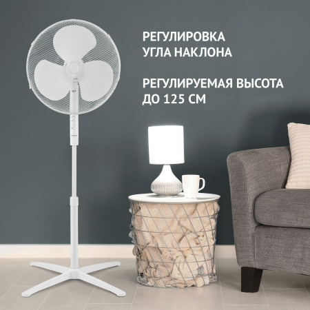 1489986_v06_b 31_03_2023 11_40_12.jpg