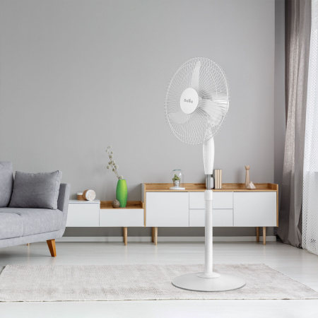 1701171_v05_b 10_04_2023 19_02_49.jpg