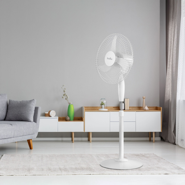 1701171_v05_b 10_04_2023 19_02_49.jpg