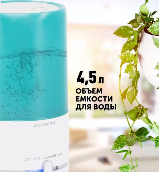 1981022_v04_b 06_11_2024 12_18_28.jpg