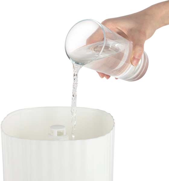 2035262_v04_b 06_11_2024 12_26_27.jpg